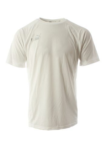 Puma t-shirt, teamFINAL, drycell