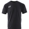 Puma t-shirt, teamFINAL, drycell